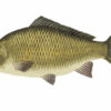Van Den Eynde Groundbaits Hi-Pro Carp  2kg - Image 3