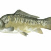 Van Den Eynde Groundbaits Hi-Pro Carp  2kg - Image 4