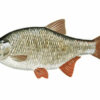 Van Den Eynde Groundbaits Supercup (Natural) 2kg - Image 4
