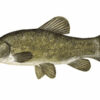 Van Den Eynde Groundbaits Hi-Pro Carp  2kg - Image 6